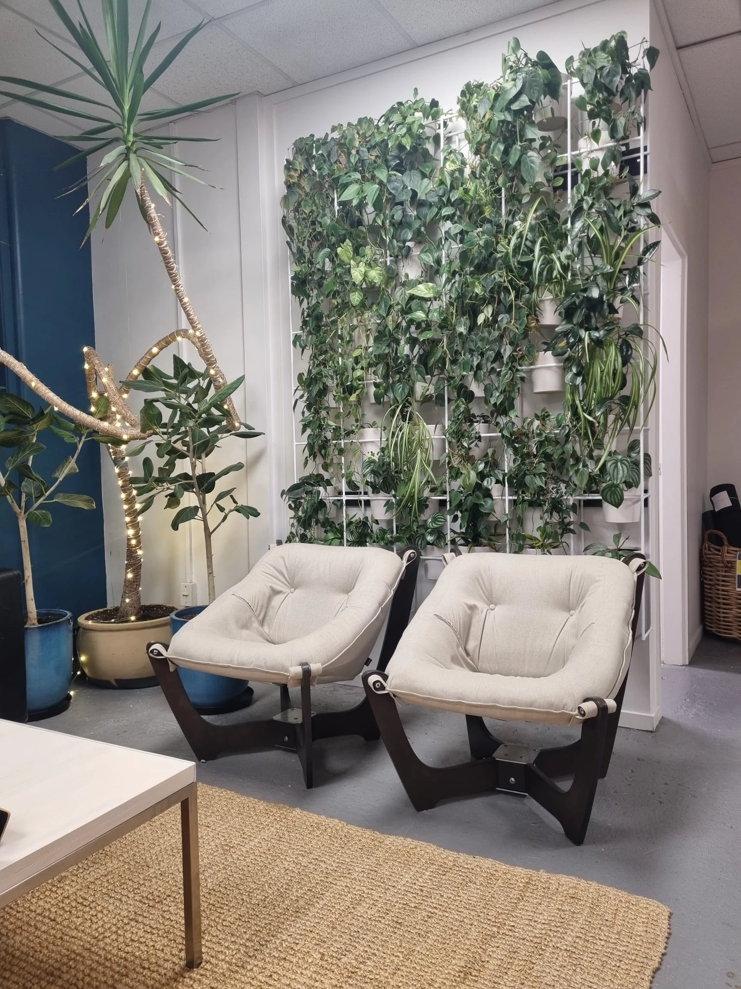 Studio 8
